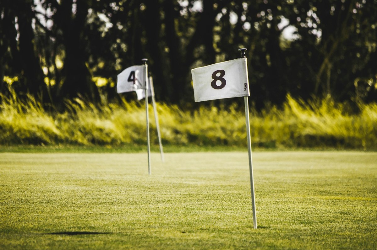 Deux drapeaux blancs numérotés 4 et 8 plantés sur un green d'entraînement